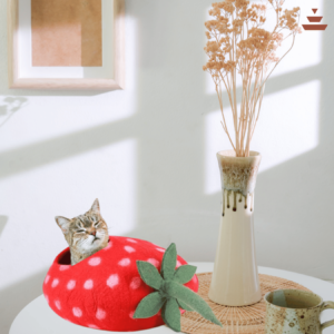 Cat House with Strawberry  Design – 100% NZ Wool
